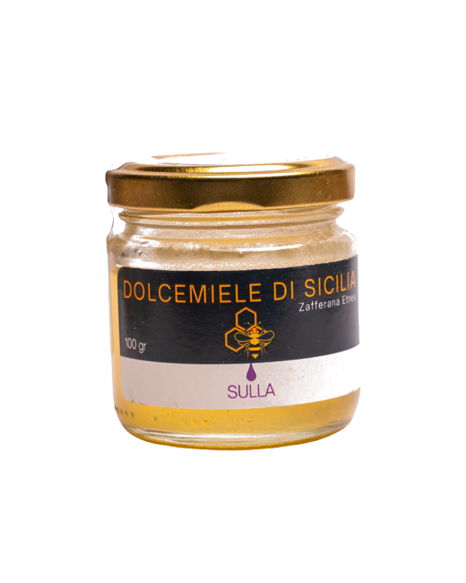 Barattolo da 100 grammi di miele di sulla